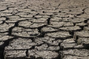 Over 115,000 Sri Lankans Face Severe Drinking Water Shortages Amid Prolonged El Niño Dry Spell