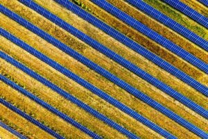 Sri Lanka Kicks Off Ambitious 300MW Solar Power Initiative to Boost Renewable Energy