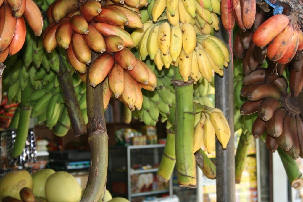 bananas, sri lanka, square, sri lanka, sri lanka, sri lanka, sri lanka, sri lanka