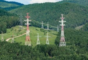 Opposition Leader and French Ambassador Hold High-Level Talks on Renewable Energy Challenges