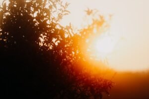 Warm Weather Advisory Issued for Several Regions Amid Rising Temperatures