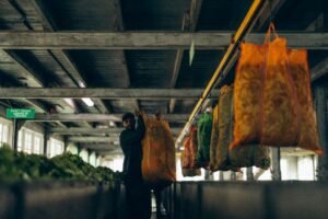 Sri Lanka’s Apparel Sector Faces Headwinds as August Export Earnings Drop 7.4%
