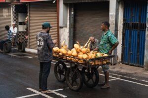 Sri Lanka Faces Bleak Outlook for Foreign Direct Investment Amid Systemic Challenges