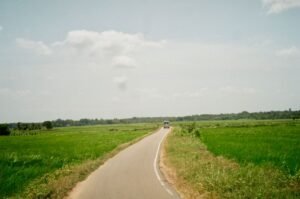 From Hill Station to Island Highways: Travel Shift Leads to Sri Lanka Road Trip