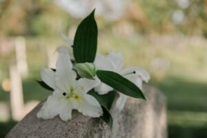 Kanishka Senanayake, Eldest Son of Rosy Senanayake, Passes Away